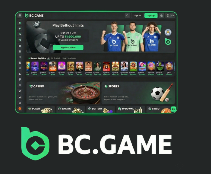 BC.Game Poland Login Process A Step-by-Step Guide -335746885