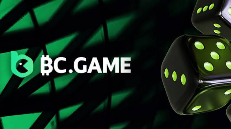 Understanding the BC.Game Login Process A Comprehensive Guide -313144088 Understanding the BC.Game Login Process A Comprehensive Guide -313144088